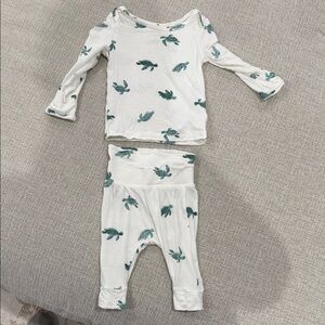 Carter's White and Green Turtle Pajama Set